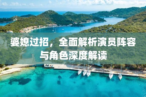 婆媳过招，全面解析演员阵容与角色深度解读
