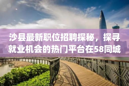 沙县最新职位招聘探秘，探寻就业机会的热门平台在58同城