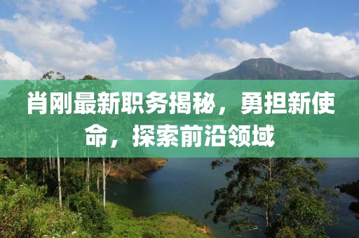 肖刚最新职务揭秘，勇担新使命，探索前沿领域