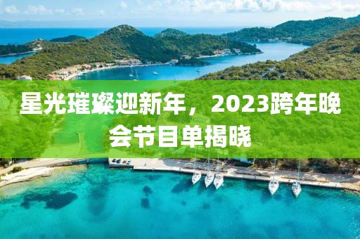 星光璀璨迎新年，2023跨年晚会节目单揭晓