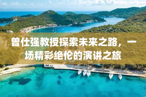 曾仕强教授探索未来之路，一场精彩绝伦的演讲之旅