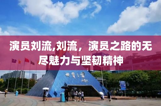 演员刘流,刘流，演员之路的无尽魅力与坚韧精神