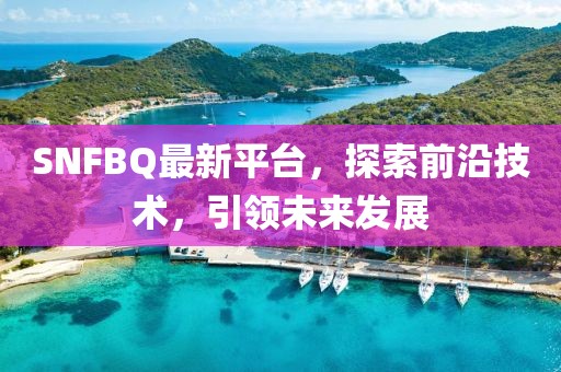 SNFBQ最新平台，探索前沿技术，引领未来发展