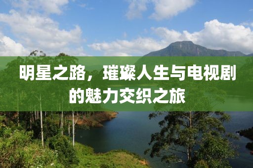 明星之路，璀璨人生与电视剧的魅力交织之旅