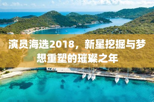 演员海选2018，新星挖掘与梦想重塑的璀璨之年