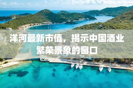 洋河最新市值，揭示中国酒业繁荣景象的窗口
