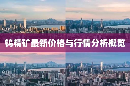 钨精矿最新价格与行情分析概览