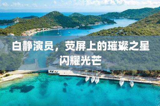 白静演员，荧屏上的璀璨之星闪耀光芒