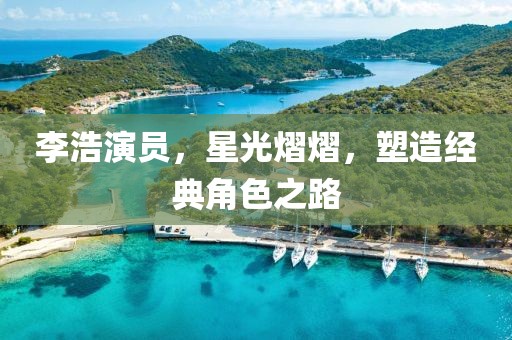 李浩演员，星光熠熠，塑造经典角色之路