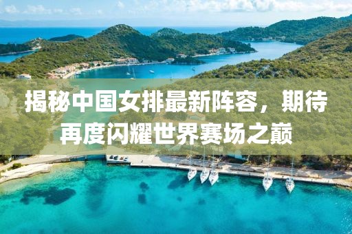揭秘中国女排最新阵容，期待再度闪耀世界赛场之巅