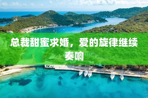 总裁甜蜜求婚，爱的旋律继续奏响