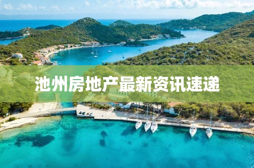 池州房地产最新资讯速递