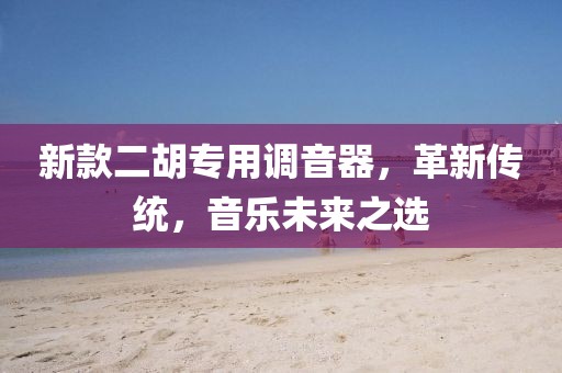 新款二胡专用调音器，革新传统，音乐未来之选