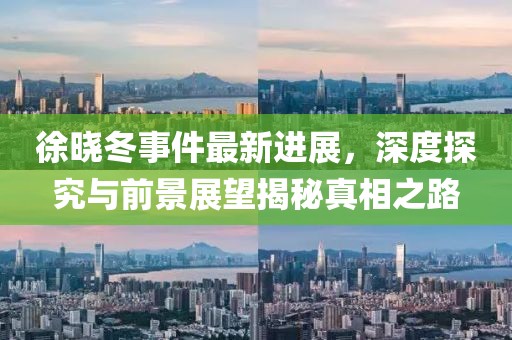 徐晓冬事件最新进展，深度探究与前景展望揭秘真相之路