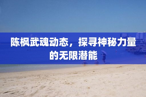 陈枫武魂动态，探寻神秘力量的无限潜能