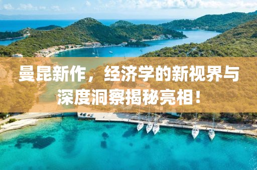 曼昆新作，经济学的新视界与深度洞察揭秘亮相！