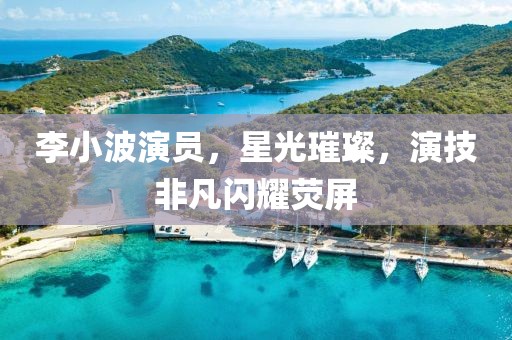 李小波演员，星光璀璨，演技非凡闪耀荧屏