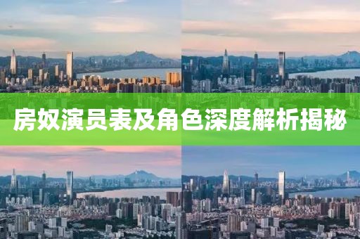 房奴演员表及角色深度解析揭秘