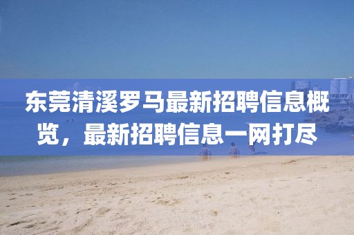 东莞清溪罗马最新招聘信息概览，最新招聘信息一网打尽