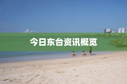 今日东台资讯概览