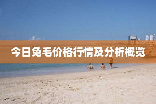 今日兔毛价格行情及分析概览