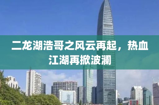 二龙湖浩哥之风云再起，热血江湖再掀波澜