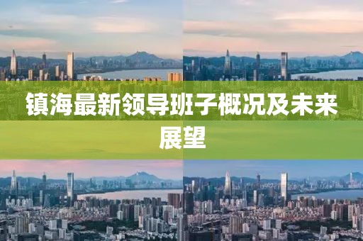 镇海最新领导班子概况及未来展望