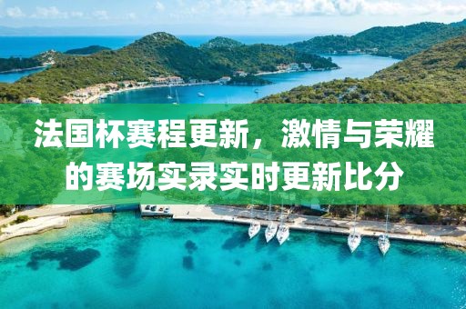 法国杯赛程更新，激情与荣耀的赛场实录实时更新比分