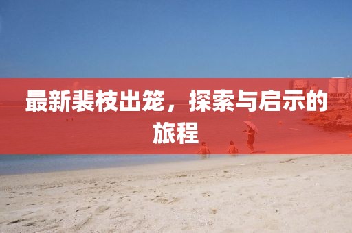最新裴枝出笼，探索与启示的旅程