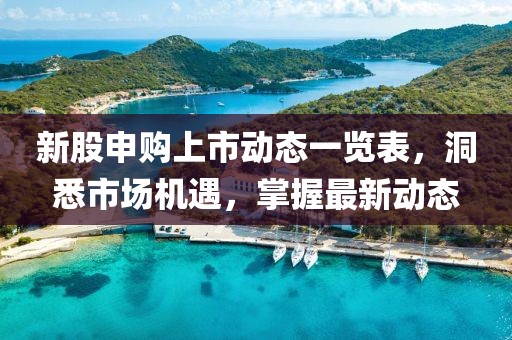 新股申购上市动态一览表，洞悉市场机遇，掌握最新动态