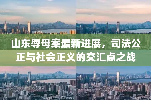山东辱母案最新进展，司法公正与社会正义的交汇点之战