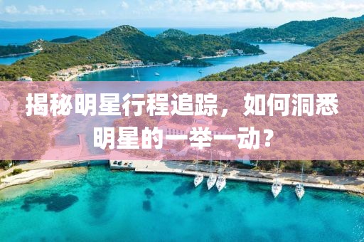 揭秘明星行程追踪，如何洞悉明星的一举一动？
