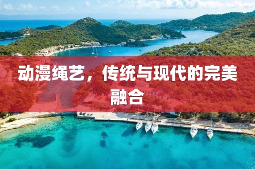 动漫绳艺，传统与现代的完美融合