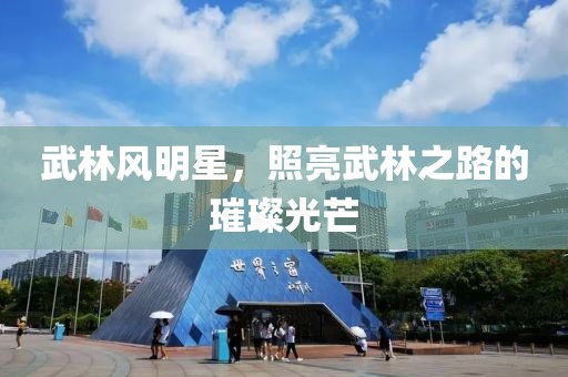 武林风明星，照亮武林之路的璀璨光芒