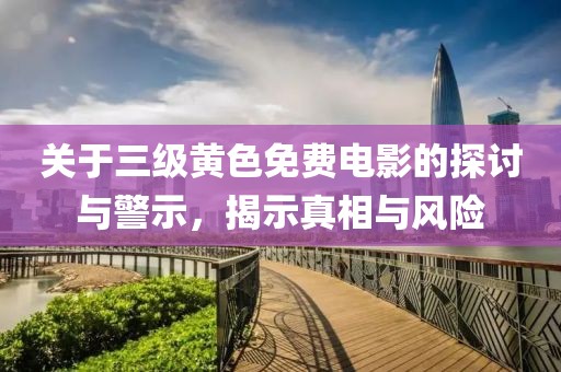 关于三级黄色免费电影的探讨与警示，揭示真相与风险