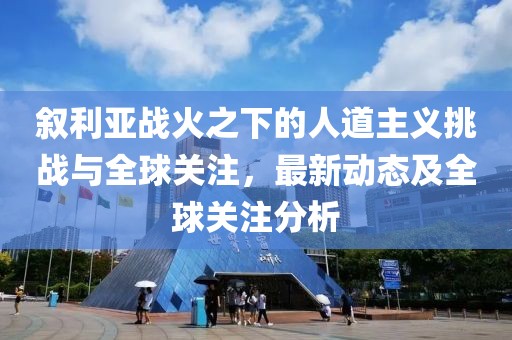叙利亚战火之下的人道主义挑战与全球关注，最新动态及全球关注分析