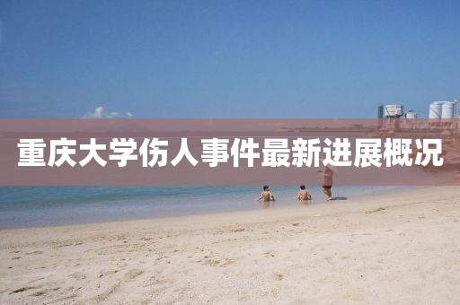 重庆大学伤人事件最新进展概况