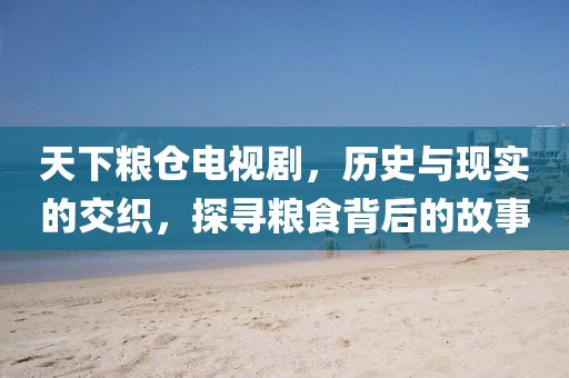天下粮仓电视剧，历史与现实的交织，探寻粮食背后的故事