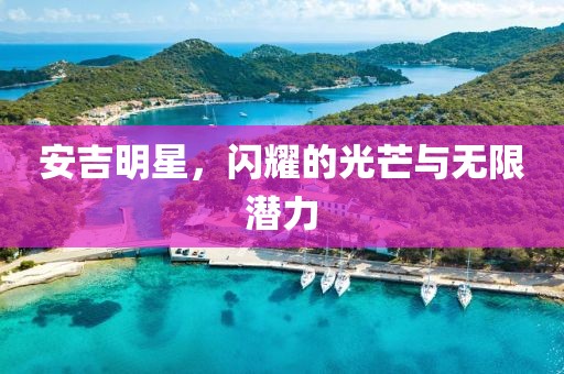 安吉明星，闪耀的光芒与无限潜力