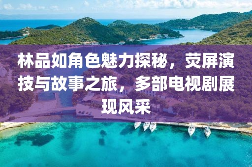 林品如角色魅力探秘，荧屏演技与故事之旅，多部电视剧展现风采
