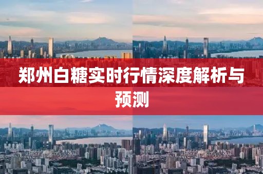 郑州白糖实时行情深度解析与预测
