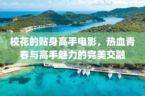 校花的贴身高手电影，热血青春与高手魅力的完美交融