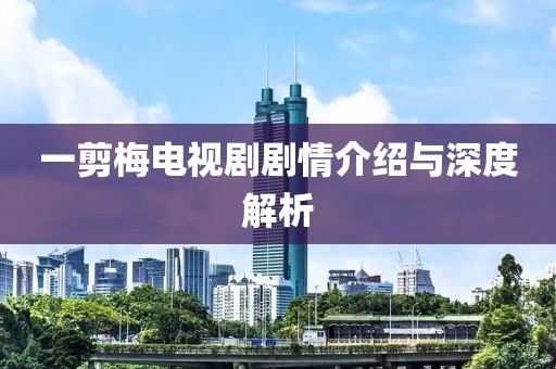 一剪梅电视剧剧情介绍与深度解析