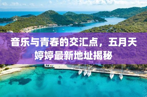 音乐与青春的交汇点，五月天婷婷最新地址揭秘