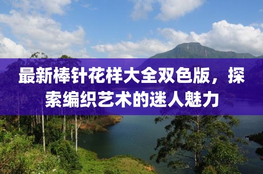 最新棒针花样大全双色版，探索编织艺术的迷人魅力