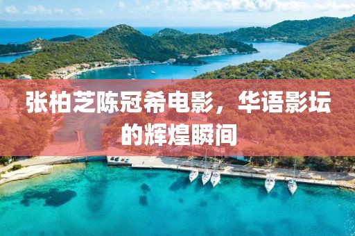 张柏芝陈冠希电影，华语影坛的辉煌瞬间