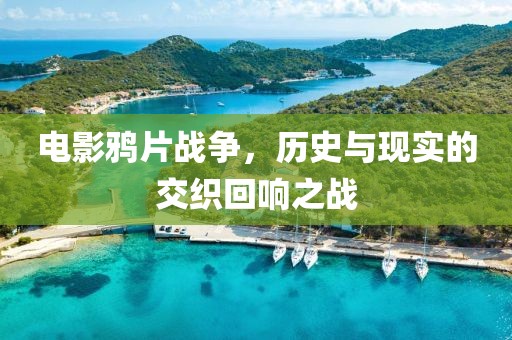 电影鸦片战争，历史与现实的交织回响之战