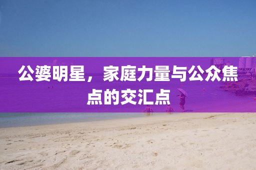公婆明星，家庭力量与公众焦点的交汇点