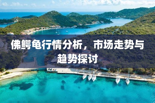 佛鳄龟行情分析，市场走势与趋势探讨