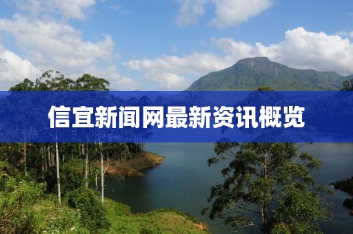信宜新闻网最新资讯概览